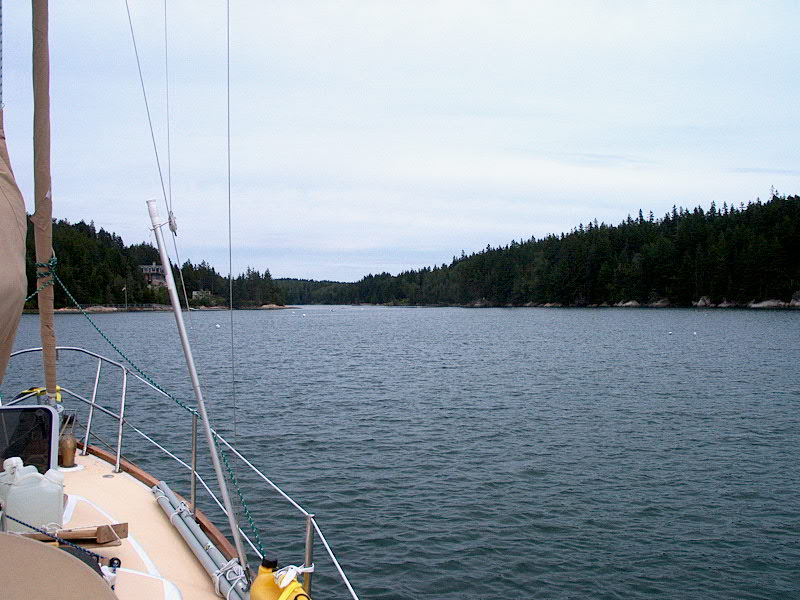 Squatter moorings in Long Cove, Vinalhaven