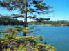 The basin outside Mill River in Winter Habor, from Penobscot Island