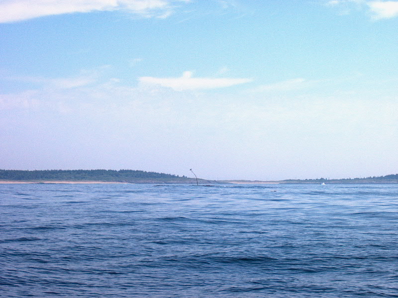 Bald Head Ledge