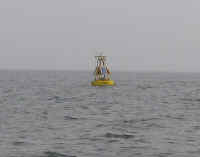 weatherbuoy.jpg (22042 bytes)